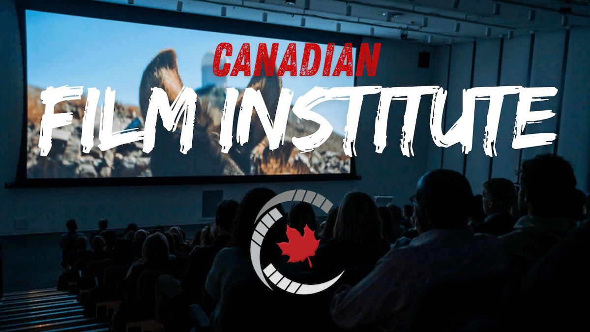 Canadian Film Institute customer story. Audience watching a film in a movie theater. Film and cinema in Canada.